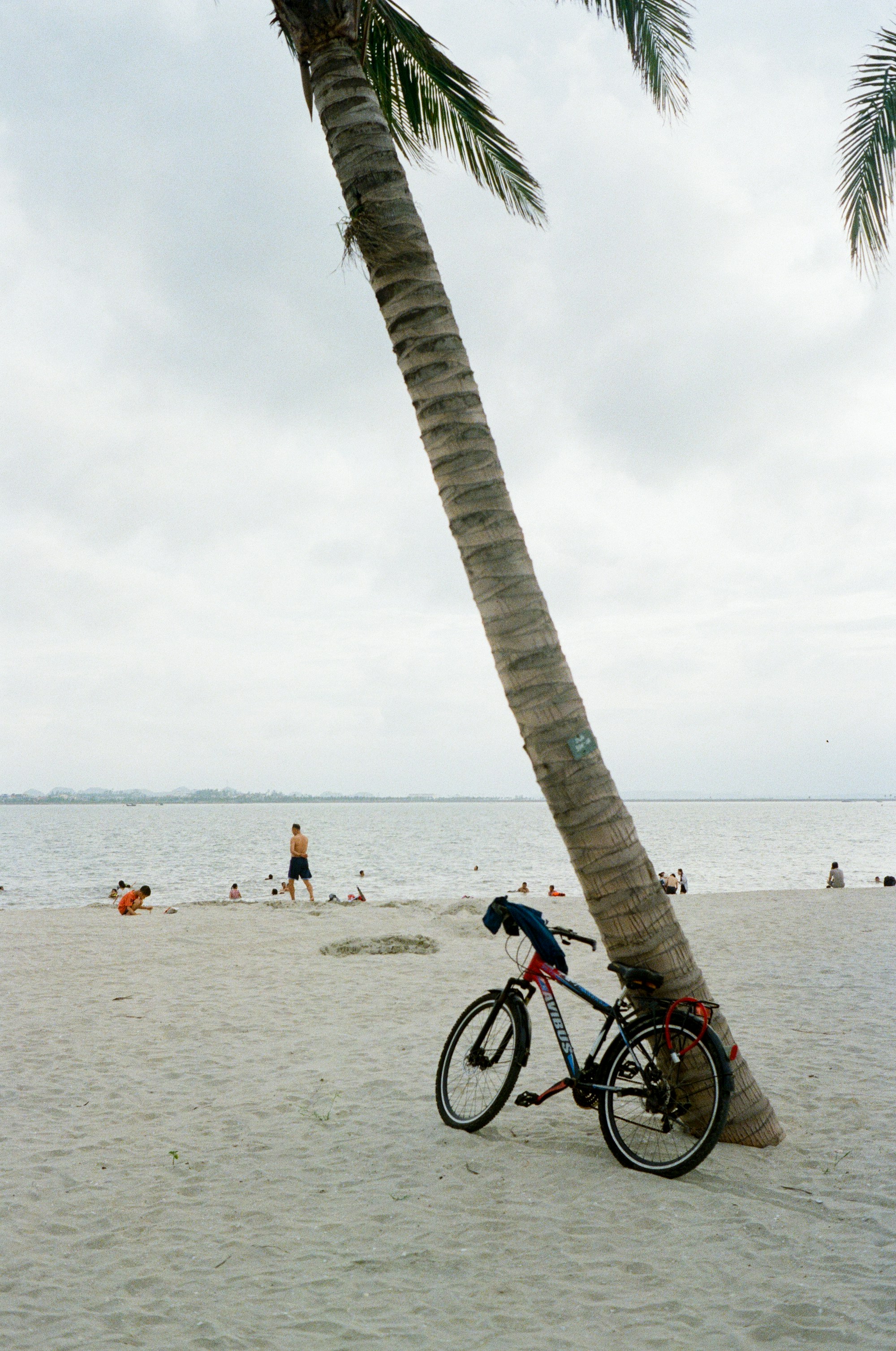 $500,000 Bicycle accident